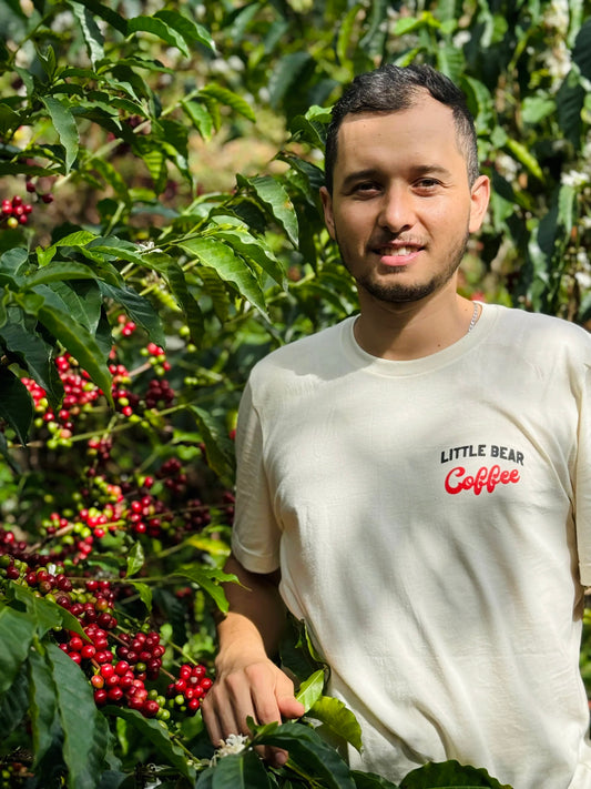 Colombia- Finca El Rincón – Diego Horta- Natural Anerobic Gesha
