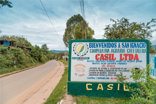 Peru Cajamarca– Washed Caturra, Typica, and Bourbon