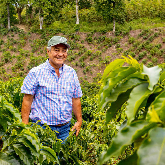 Colombia- Jairo Arcila- Honey/ Peach fermented Castillo