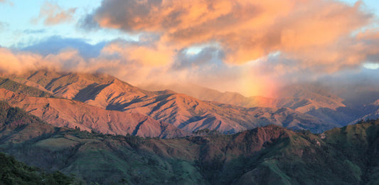 Peru Familia Tocto – Washed Bourbon