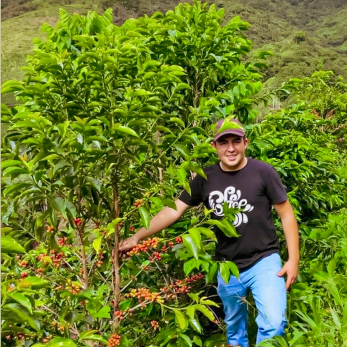 Colombia- Finca Las Flores- Advanced Natural Castillo & Caturra