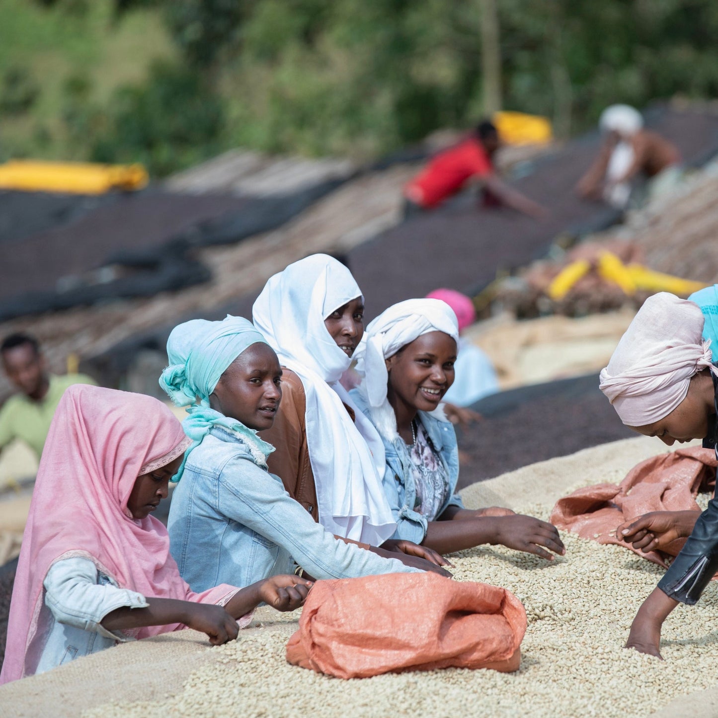 Ethiopia Nansebo –  Натуралeн Heirloom