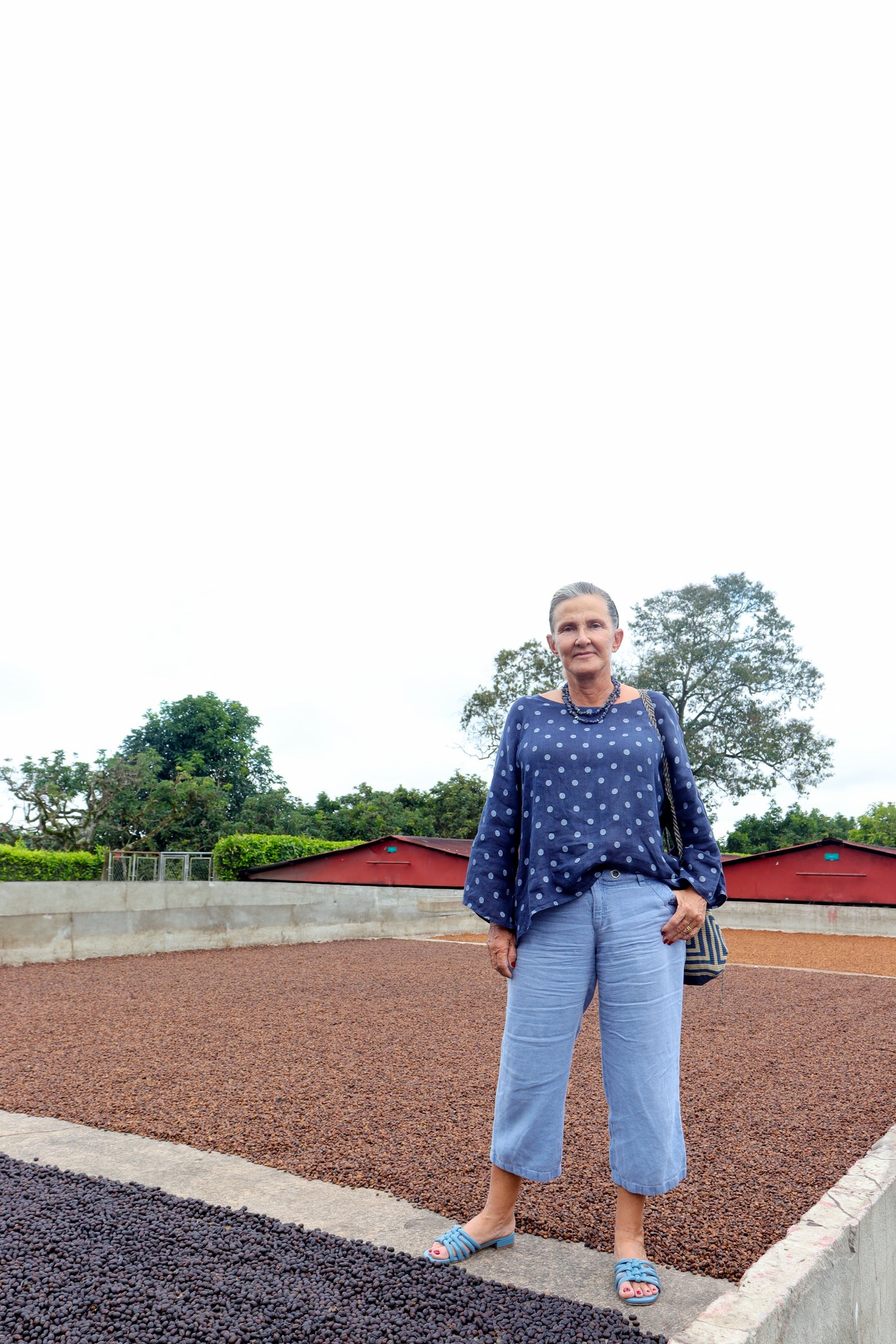 Colombia- Luz Helena Salazar- Blueberry Castillo