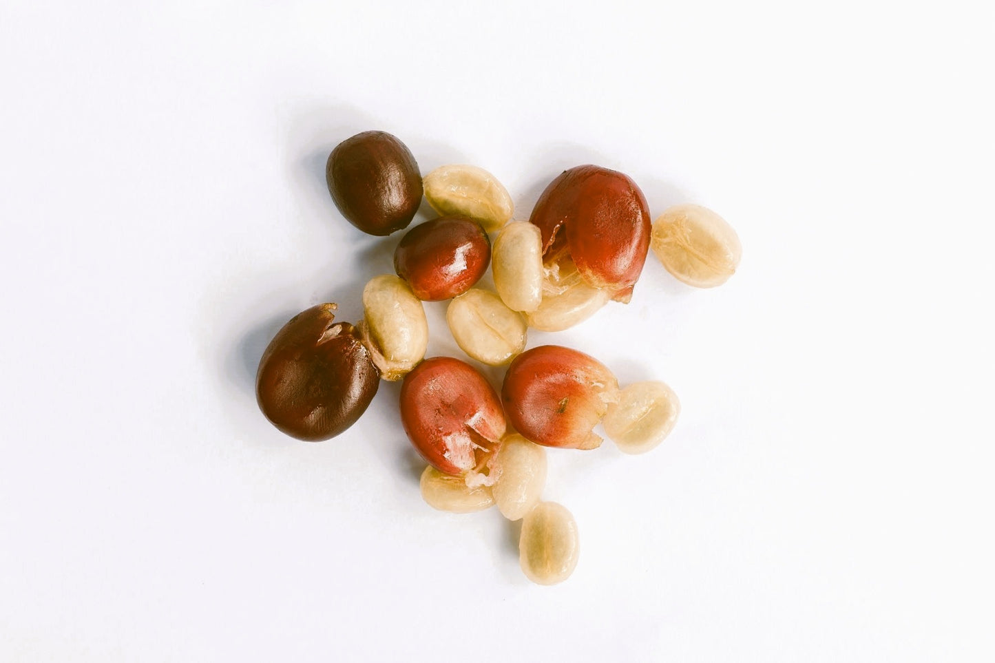 Cascara Coffee Cherry