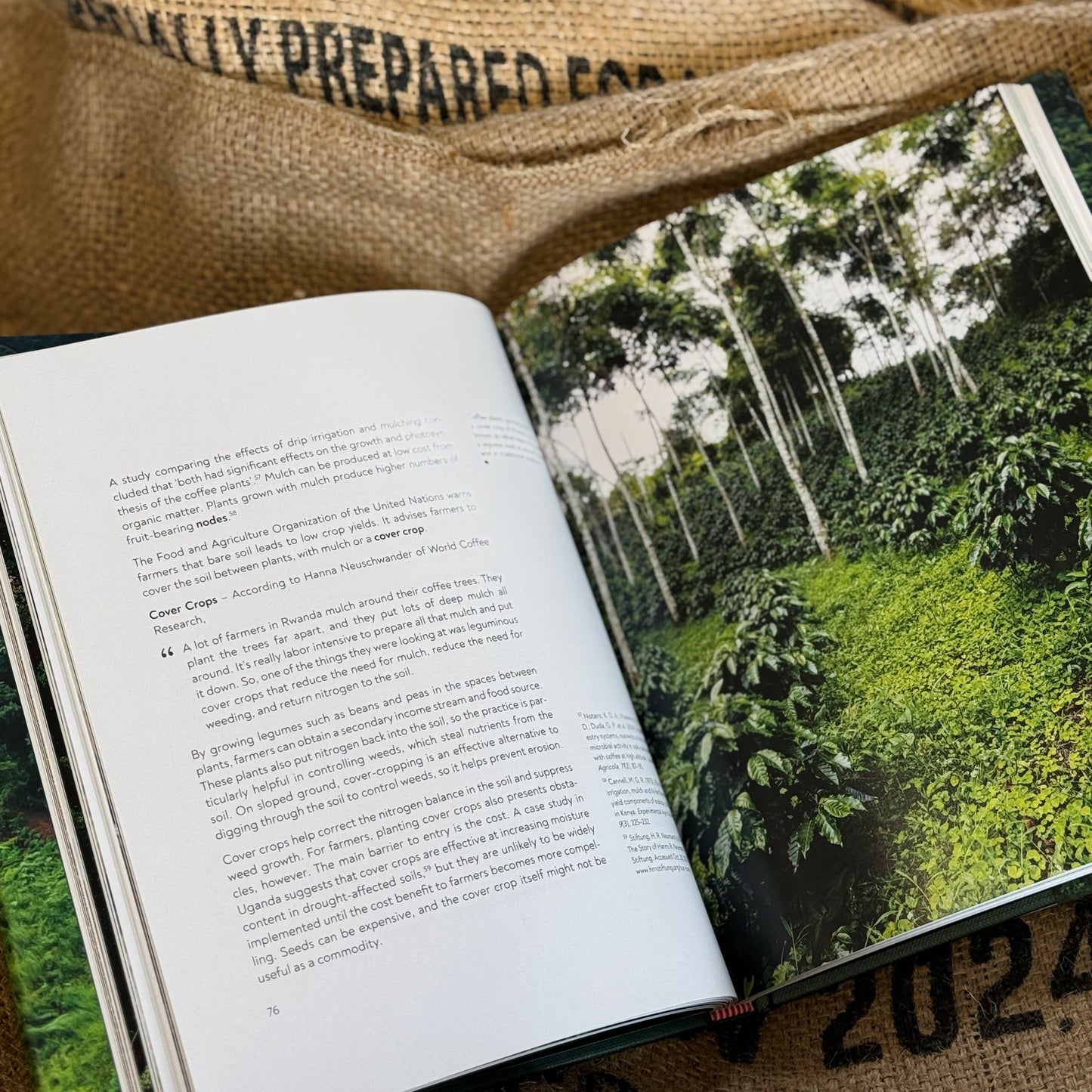 Terroir: From Seed to Harvest – Barista Hustle