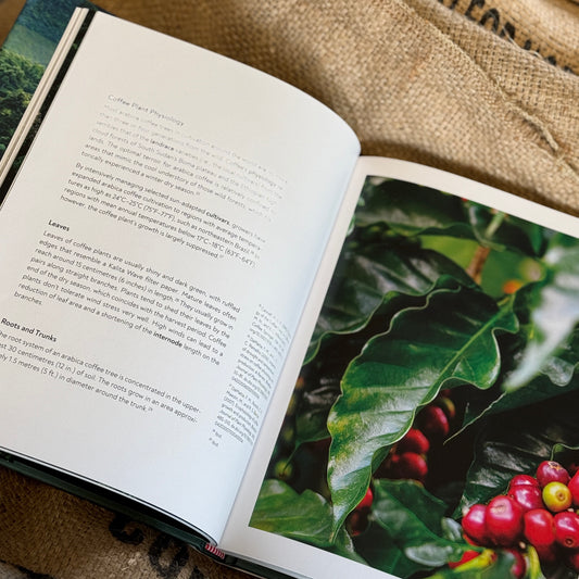 Terroir: From Seed to Harvest – Barista Hustle