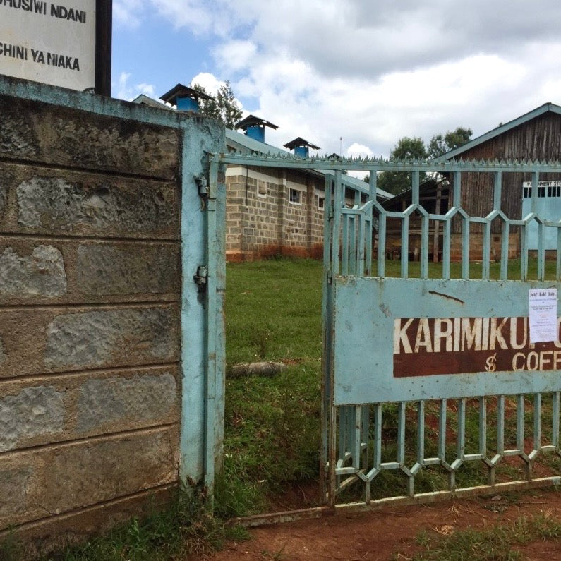 Kenya- AB Rungeto Karimikui #034- Washed SL28, SL34, Ruiru11, Batian