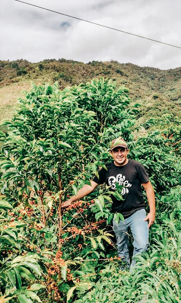 Colombia-Finca Las Flores- Pink Bourbon · Anaerobic Sugarcane EA Decaf